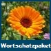 Deutsch Spezialwortschatzpaket