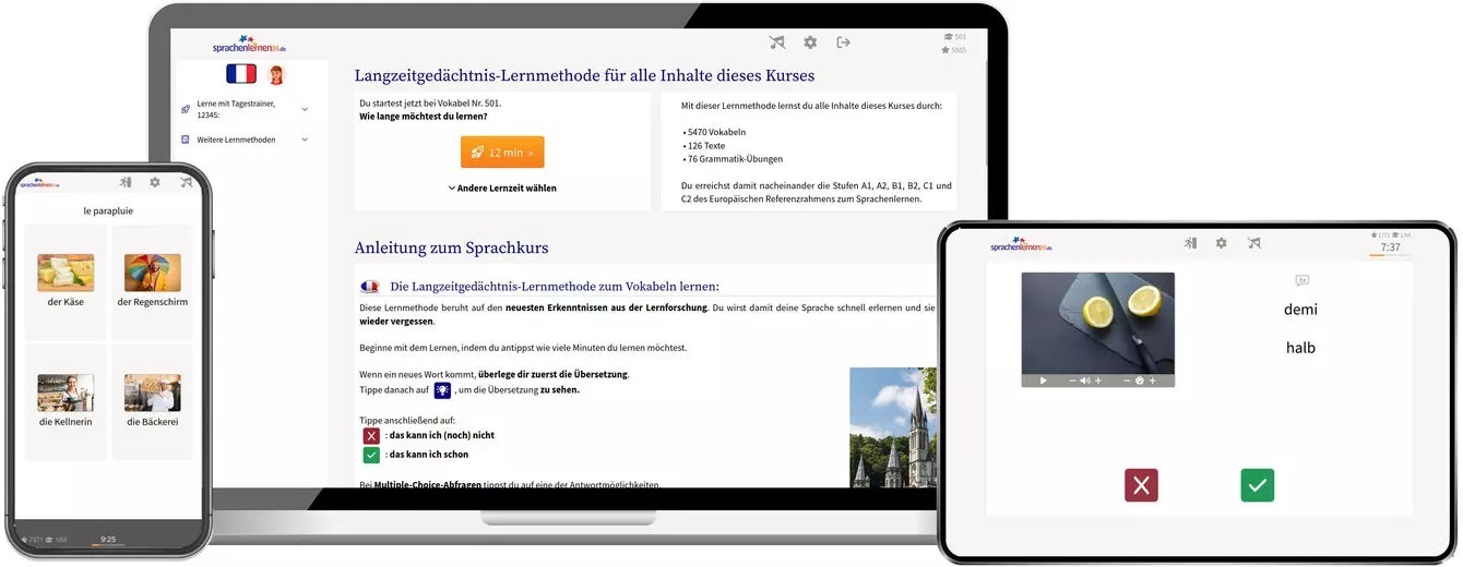 Französisch Sprachkurs für Anfänger