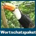 Indonesisch Spezialwortschatzpaket