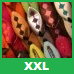 Deutsch Sprachkurs XXL-Paket für Marokkaner