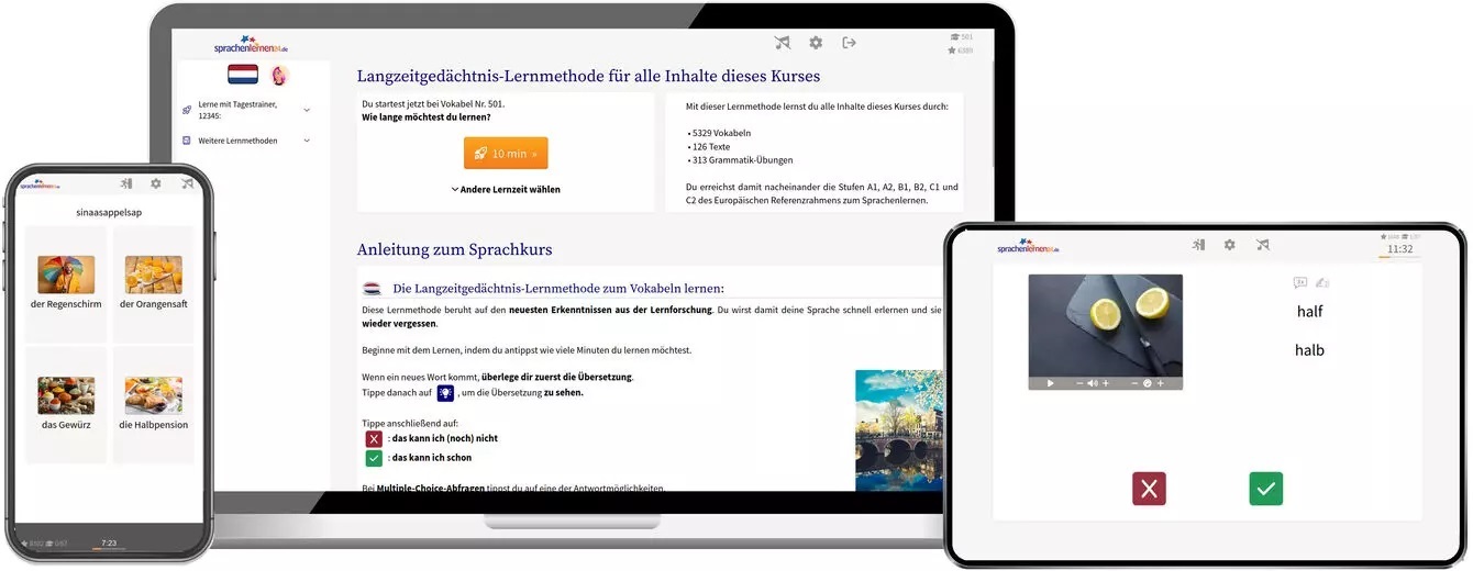 Niederländisch Sprachkurs für Anfänger