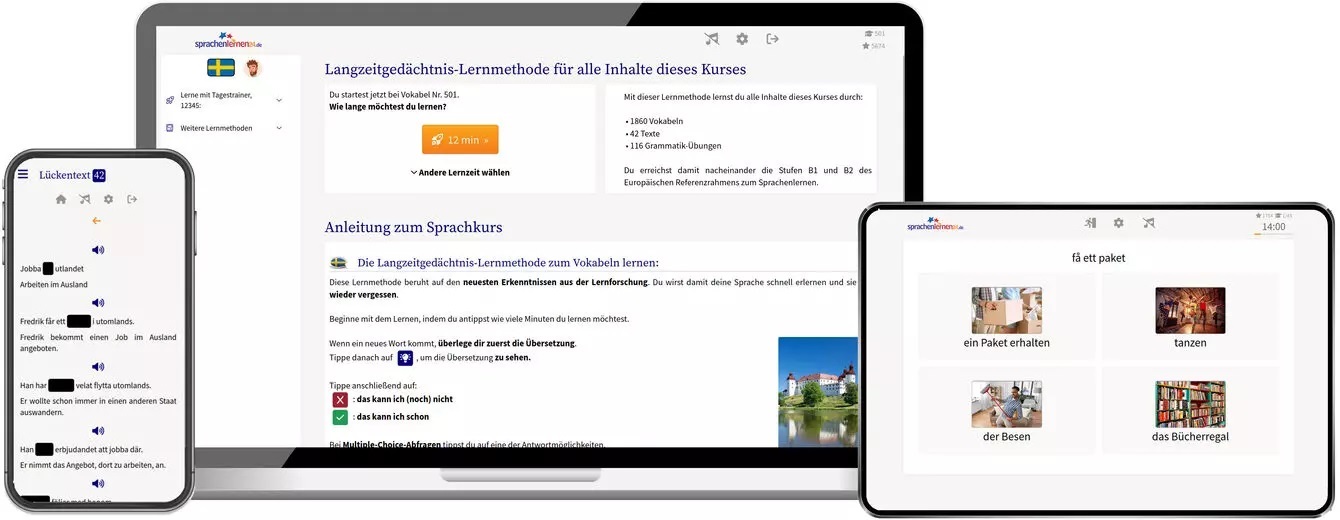 Schwedisch Sprachkurs für Fortgeschrittene